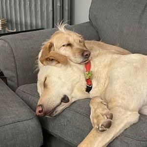 Meet your Posher, Teresa